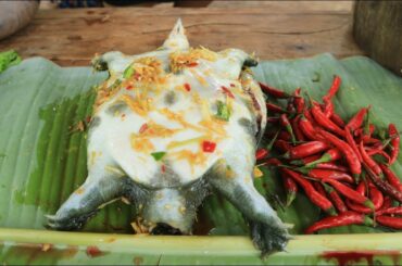Yummy cooking turtle with chili recipe - Cooking skill