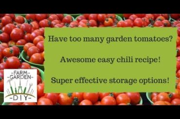 3 in 1 special! Too many tomatoes / Killer chili recipe / Super easy storage!