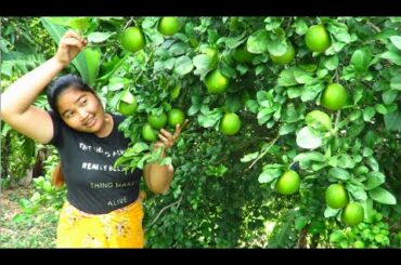 Sweet orange Nature with Chili recipe village food factory [ Cooking skill ]