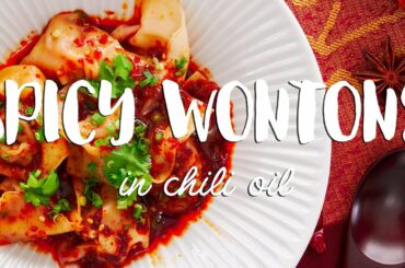 🌶 SPICY Wontons in Chili Oil (红油抄手)