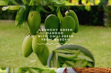 Crunchy Green Manggoe With Chili, Fresh From the Garden | Simple Recipe