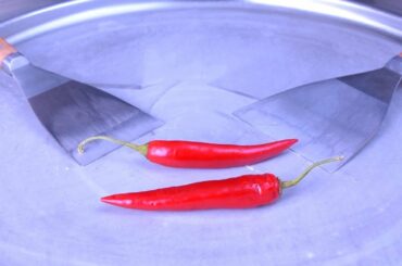 Ice Cream Rolls | red hot Chili and Tabasco Pepper Sauce / thai spicy roll ice cream challenge asmr