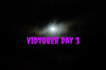 10 DAYS OF VIDTOBER DAY 3 | EASY FALL PLANT BASED CHILI