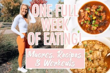 STAYING ON TRACK THIS HOLIDAY SEASON! | FWOE