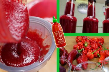 Sriracha Sauce Recipe - Chillichump Style