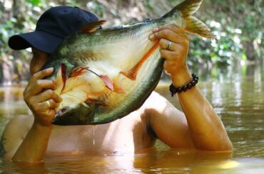 Cooking Fresh Water Bra Fish with Chili Sauce in forest for Food