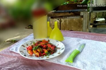 Homemade.Chili Vinegar+Gardening,