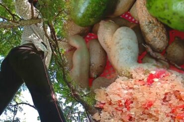 Yummy Eating Soure Fruit With Chili Salt | Yummy Cooking Skill