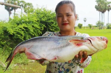 Yummy Fried Big Fish with Chili Sate Sauce | Fried Big Fish Cooking Recipe | Ny Cooking