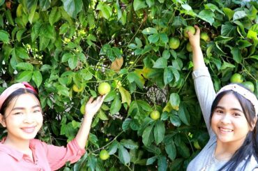Passion Fruit With Shrimp Salad Recipe - Cooking Squid - My Food My Lifestyle