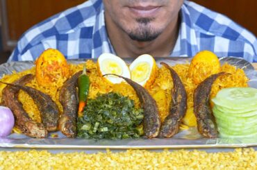 Eating Egg Biryani, Fish Deep Fry, Onion, Chili, Salad - Indian Food Eating ASMR - Mukbang Eating