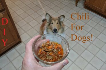 DIY Chili For Dogs!