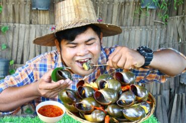 Coking Snail Recipe - Cook Snail bbq eat with Chili Sauce