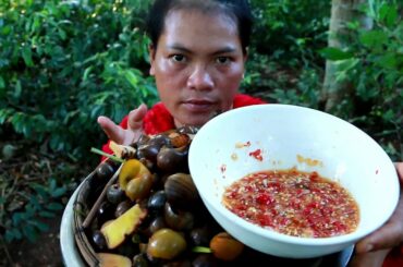 Catch snail at rice field for food-cooking snail with chili sauce eating delicious-Cooking in forest