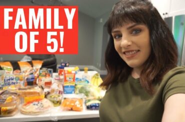 GROCERY HAUL FAMILY OF 5 & WEIGHT WATCHERS CHILI RECIPE!