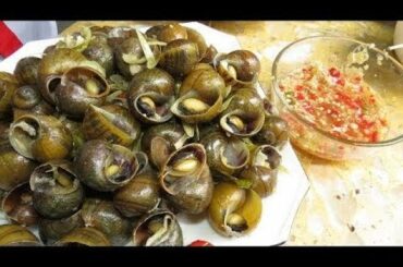How To Cook Snail In Cambodia - Snail With Chili Sauce, Countryside Food Recipe