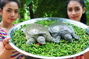 Yummy cooking turtle with chili recipe - Natural Life TV