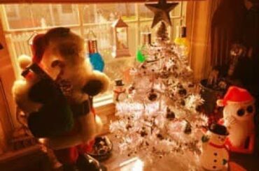 EZ Mexican Frittata or Chili Rellenos Casserole with Tink