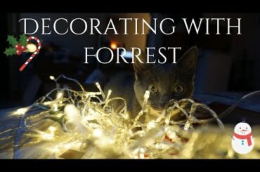 Making Vegan Chili & Christmas Decorating | Jenny'sLipstick Vlogs