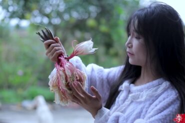 [5]So this video called the life of chilli? chopped chili fish head,red oil sheet jelly| Liziqi Tv