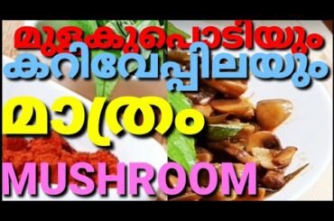 MUSHROOM chilly|mushroom recipes|Easy Kerala Mushroom|Chilly mushroom mushroom Msala Indian|malayala