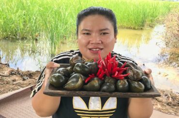 Tasty!Grilled Snails BBQ for food | Cooking snail BBQ with chili sauce recipe