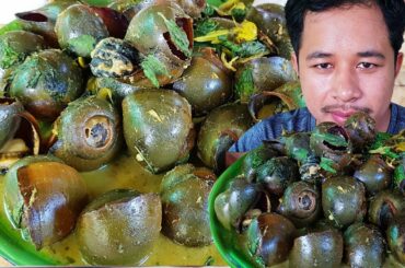 Yummy Cooking Snail for food - Cook Snails with Chili n Basil