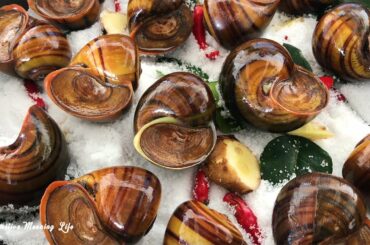 Yummy Cooking burn Snails with Salt​ chili eating delicious​ - Cooking Skills