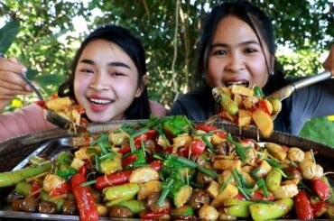 Stir Fry Meatballs Recipe - Cooking Meatball - My Food My Lifestyle