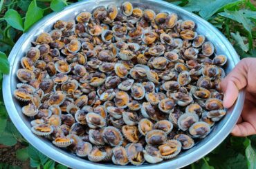 Tasty Cockle Fried Tamarind | Blood Cockle Cooking Recipe