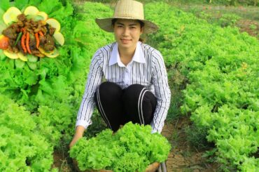 cabbage recipe​ Yummy cooking  - Cooking skill | Village Life Cooking