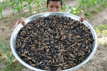Roast 700 Crickets / Fried Crispy Cricket Recipe