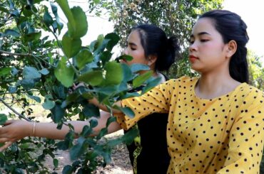 Fry Chicken Spice Salt With Kaffir Lime leaves Recipe - Cooking Chicken - My Food My Lifestyle