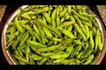 Homegrown Fava Bean Chili Recipe (Plant Based)