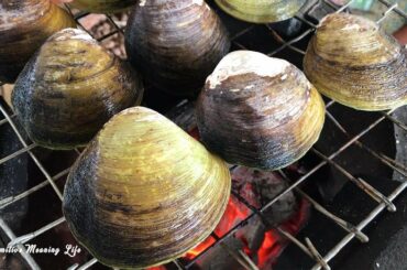 Primitive Technology - Yummy Cooking Roast Big clam with Salt​ chili  recipe - Cooking Skills