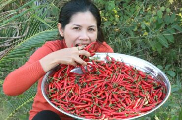 Chili Pickle With Baby Duck Egg Recipes -  Cooking Chili Pickle - Khmer Food TV