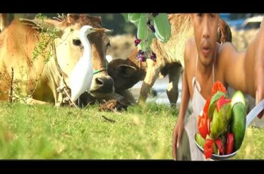 How to chili pepper salt with june plum  bilmbi  food recipe eating delicious