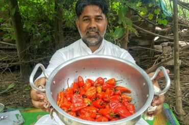 Fresh Mirchon Ka Salan / Mirchi Masala Recipe / Chili Masala Recipe / Chili Recipe By Mubarik Ali
