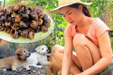 Small Snails with curry recipe Yummy cooking - Primitive Survival Cooking | Village life TV