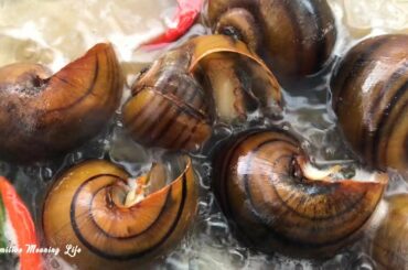Primitive Technology - Yummy cooking Snail recipe - Snail With Tomato & Mushroom