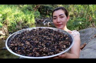 Yummy Cooking Crickets with Chili and Lemon leaves  recipe – Life Natural