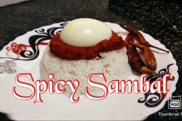 Sambal recipe/ sundakkai sambal/Malaysian traditional Sambal recipe/Turkey berry recipe/Nasi Lemak