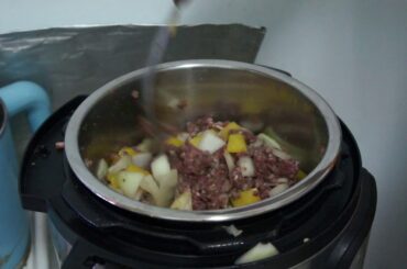 Making Chili in the Instant Pot Mini