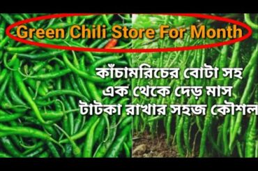 The tech.of keeping fresh chilies for one to one and a half mnths with raw chili flakes By P.Kitchen