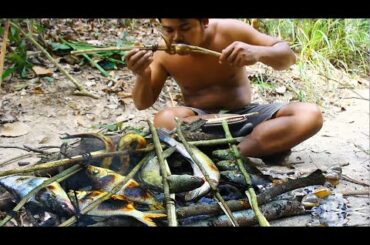Cooking Grilled  Fish and snail  with Chili sauce for eating in forest