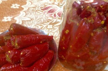 जानिए कैसे बनाते हैं भरे हुए मिर्च का अचार - stuffed chili recipe - DOTP - Ep (274)