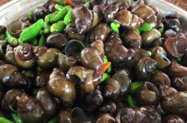 Primitive Technology   Yummy Cooking Small Snails Cooking Skills
