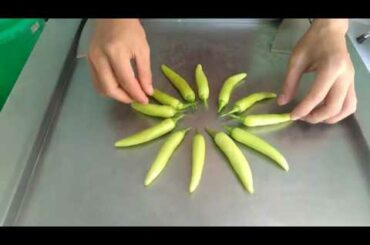 Ice cream made from super spicy chili peppers