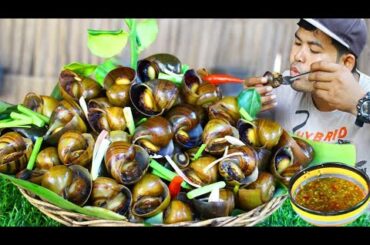 Cooking Snail Recipe - Boil Snail eat with Chili Sauce