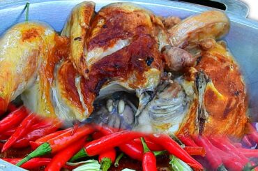 Yummy ! Cooking chicken Fry with Chili And Jack fruit | Cooking Lifestyle |